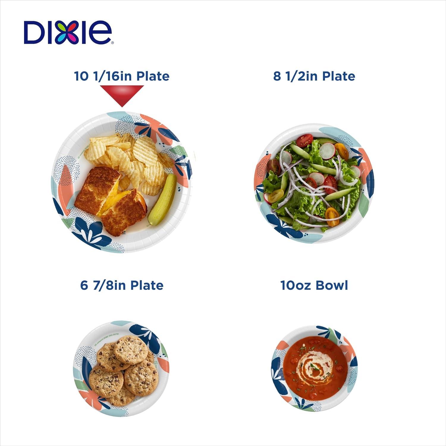 imageDixie Large Paper Plates 10 Inch 204 Count 2X Stronger MicrowaveSafe SoakProof Cut Resistant Disposable Plates For Everyday Breakfast Lunch amp Dinner Meals54 Count Pack of 1