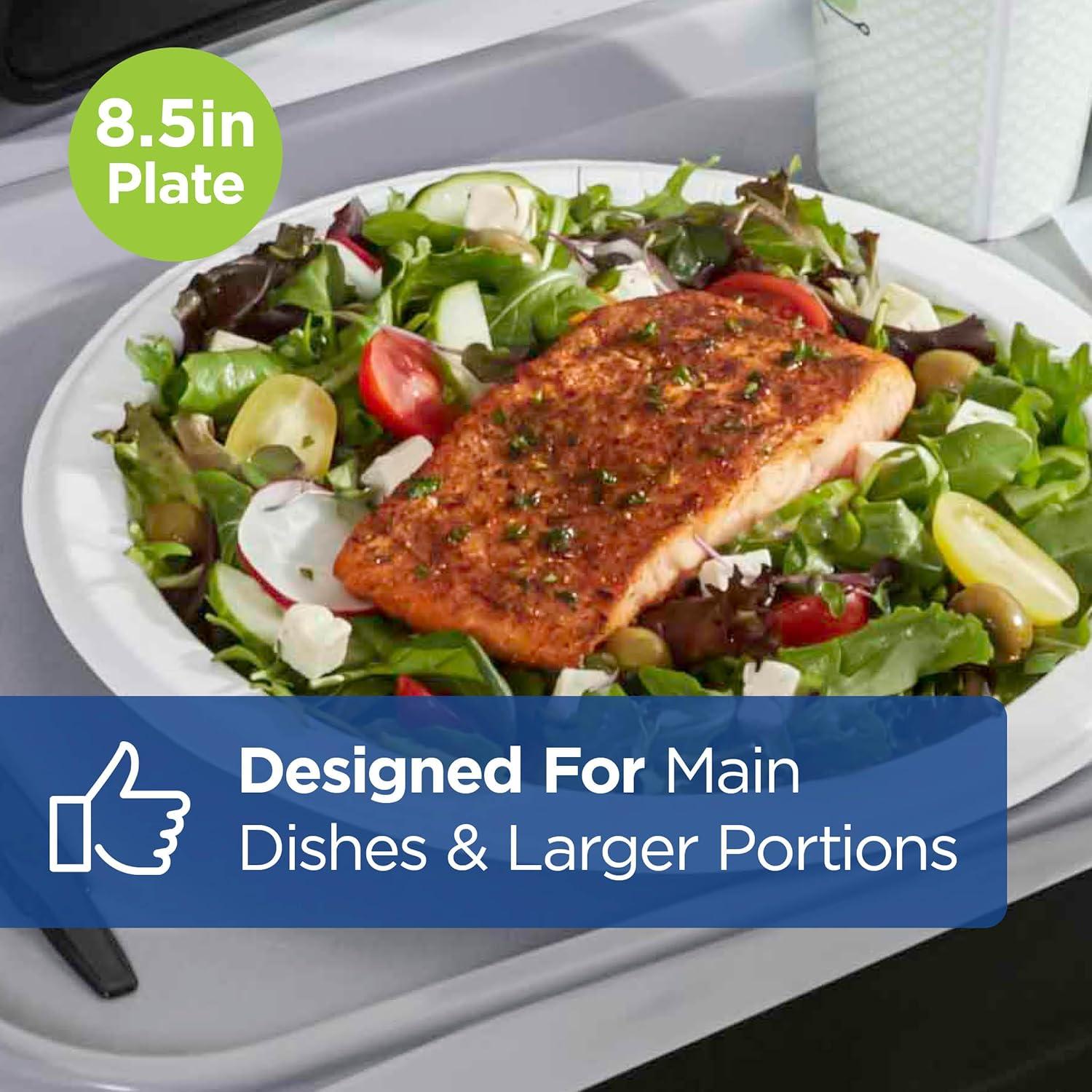 imageDixie Ultra 10 Inch HeavyWeight Paper Plates By GP PRO Pathways Botanical Design 500 Count 125 Disposable Plates Per Pack 4 Packs Per Case SXP10PATHWhite